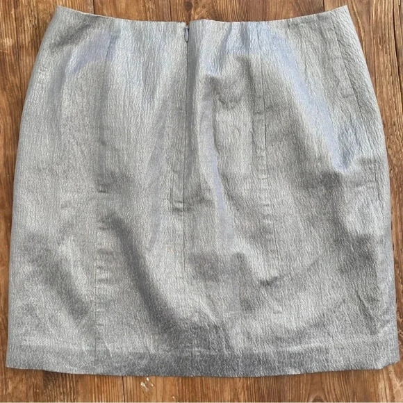 Ann Taylor Silk Cotton  Gray/Silver Lined Mini Pencil Skirt Zip Close Size 6 EUC - Picture 3 of 9